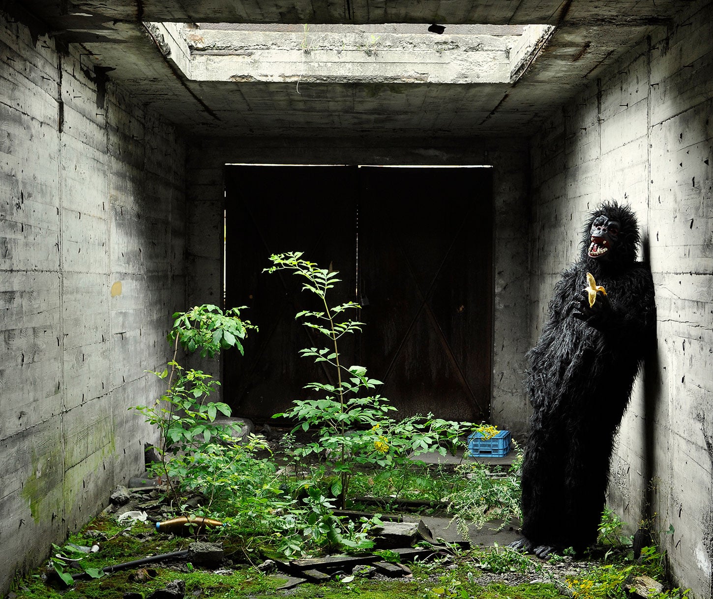 Man in gorilla suit