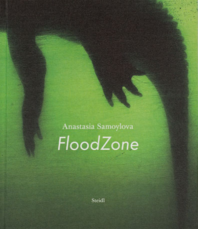 FloodZone, by Anastasia Samoylova