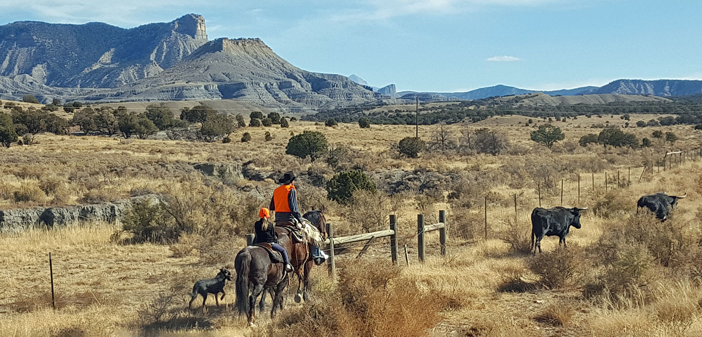 Working the fenceline.