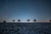 Snowy field with line of trees and starry sky