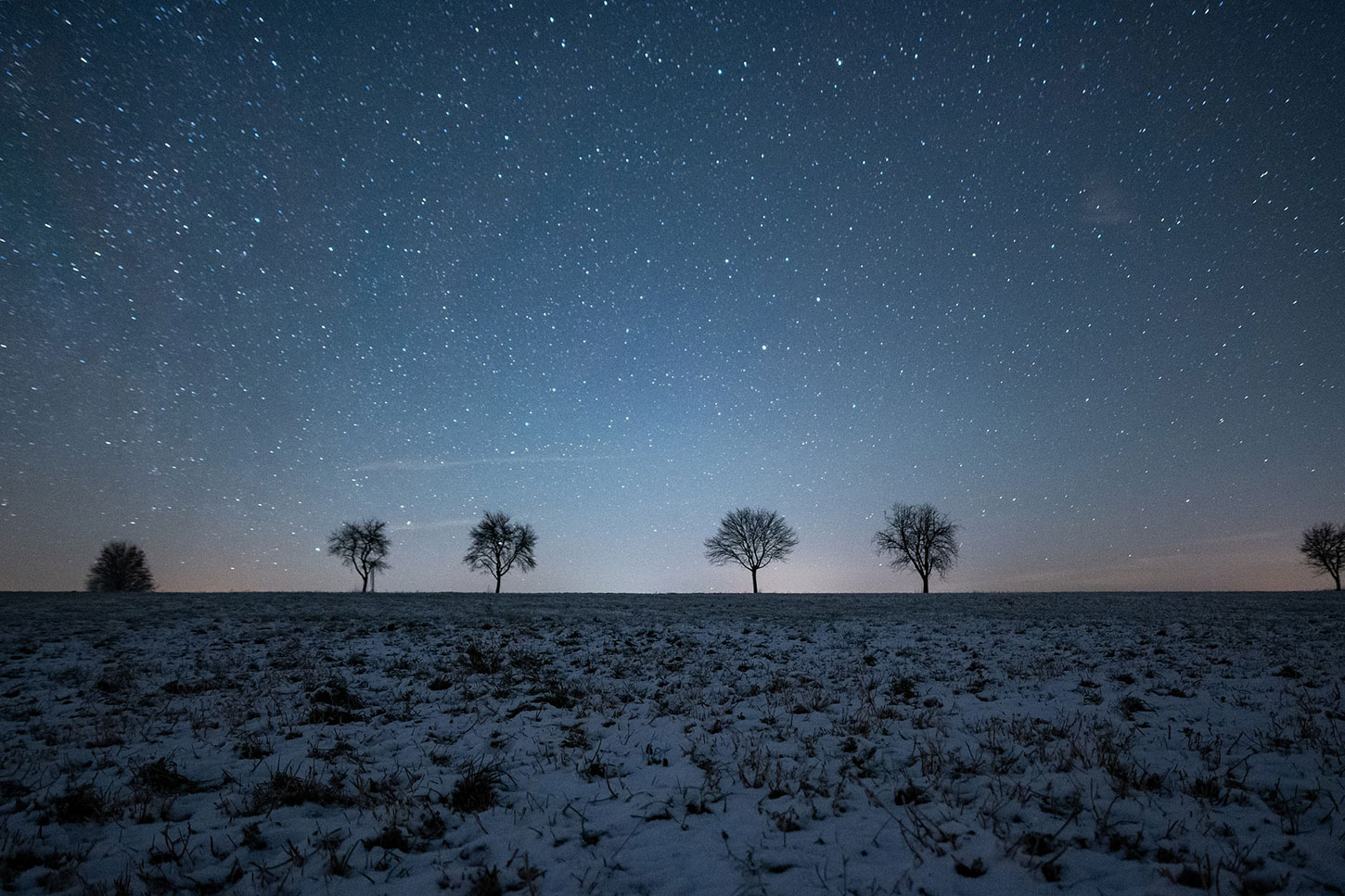 Snowy field with line of trees and starry sky