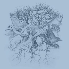 Cascadia