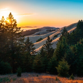 Mount Tamalpais