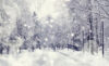 Snow street scene