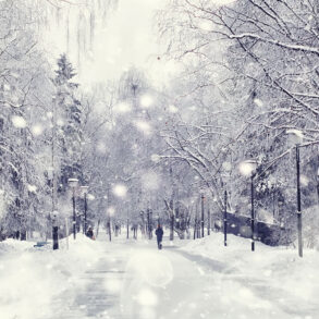 Snow street scene