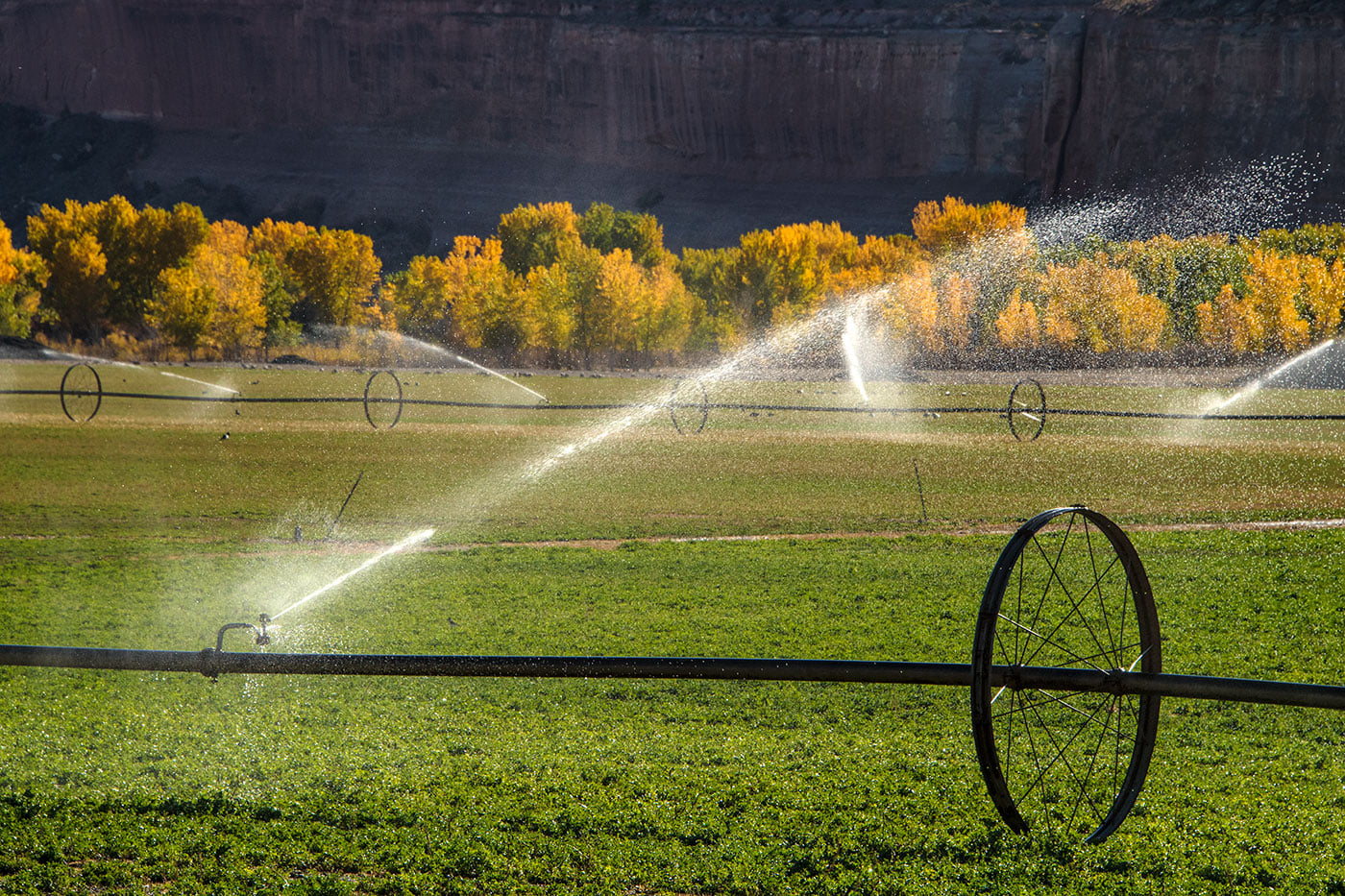 Wheel-line irrigation
