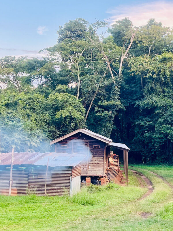 Camp
