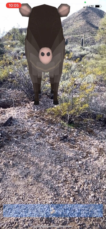 Javelina guide to Mosaic Trail AR Experience
