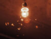 Moths around light
