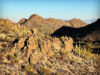 Sonoran Desert