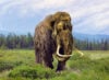 Woolly Mammoth