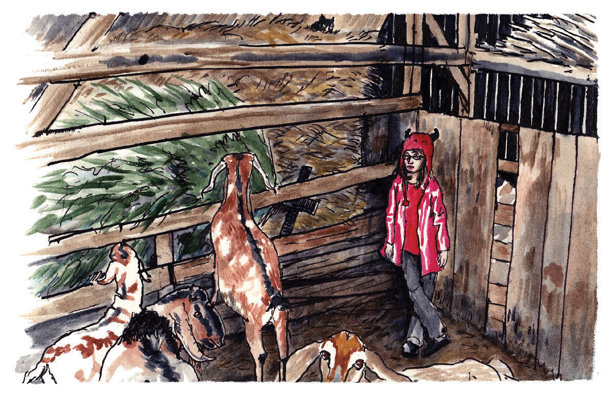 Daughter with goats in barn