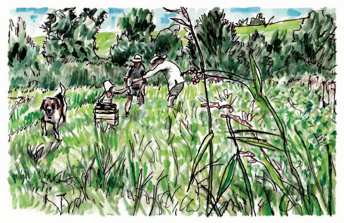 On the farm