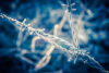 Ice on barbed wire fence