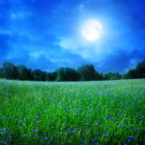 Full moon over field