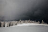 Winter storm