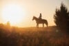 Silhouette of young woman on horse