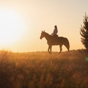 Silhouette of young woman on horse