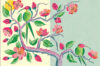 Humminbird, illustration by Melissa Castrillón, from Leaning Toward Light