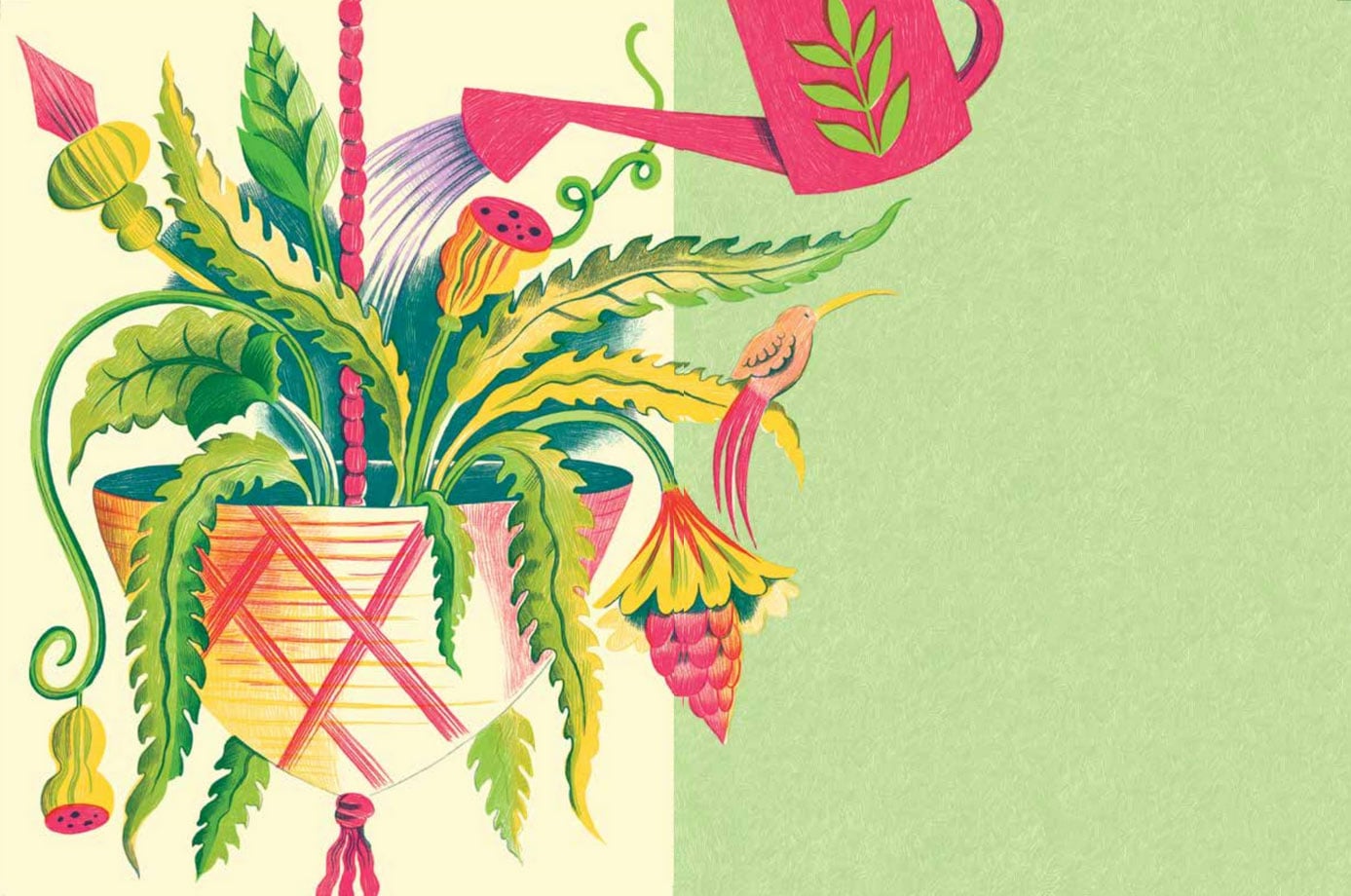 Watering hanging plant, illustration by Melissa Castrillón, from Leaning Toward Light