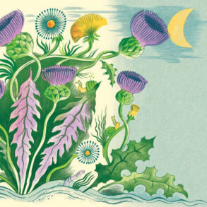 Weeds, illustration by Melissa Castrillón, from Leaning Toward Light