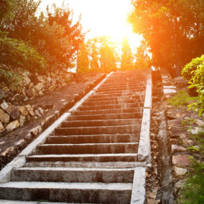 Stone steps and bushes in the afternoon light
