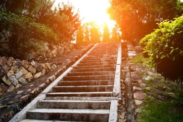 Stone steps and bushes in the afternoon light