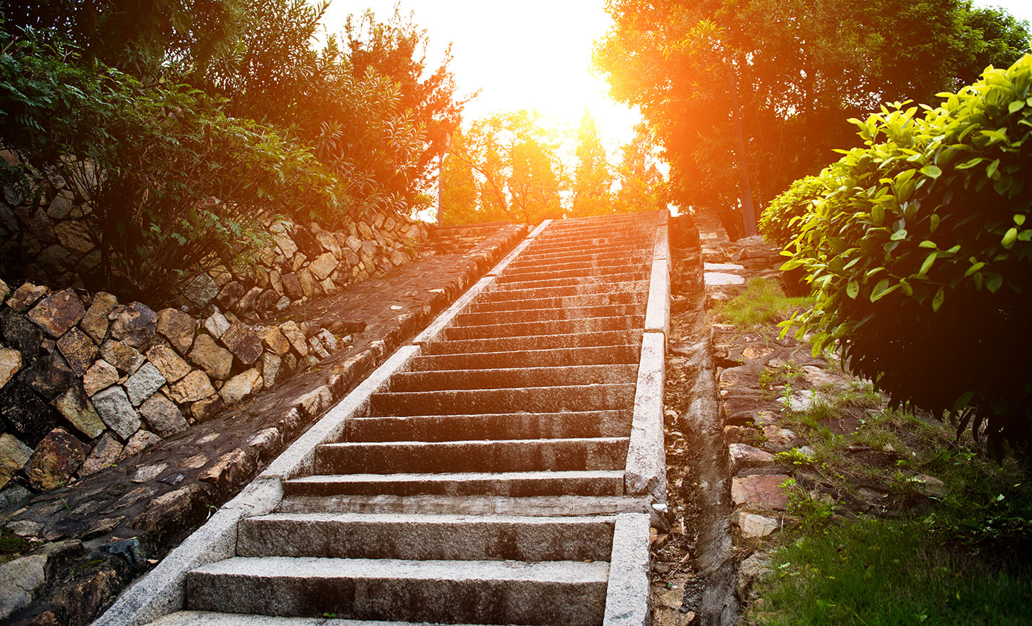 Stone steps and bushes in the afternoon light