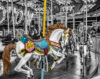 Horse on carousel
