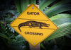 Gator Crossing sign