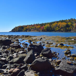 Maine coast