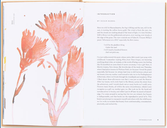 American Wildflowers interior page spread