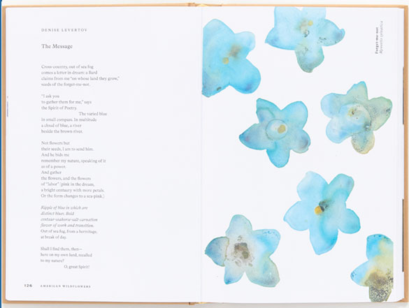 American Wildflowers interior page spread