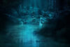 Forest, stream, moonlight