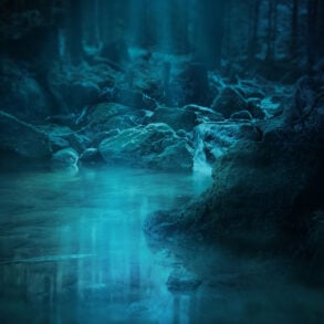 Forest, stream, moonlight