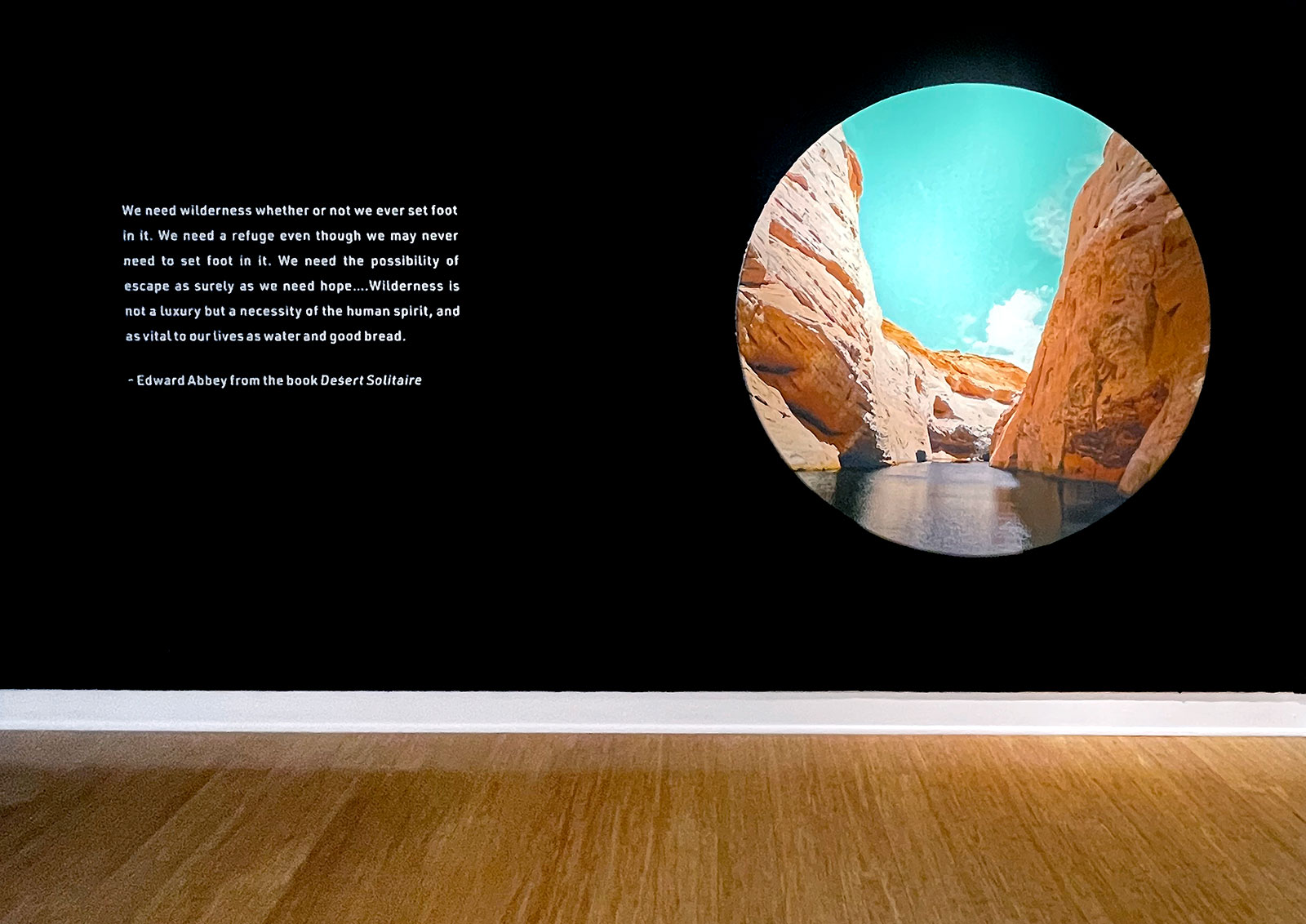 Installation view.