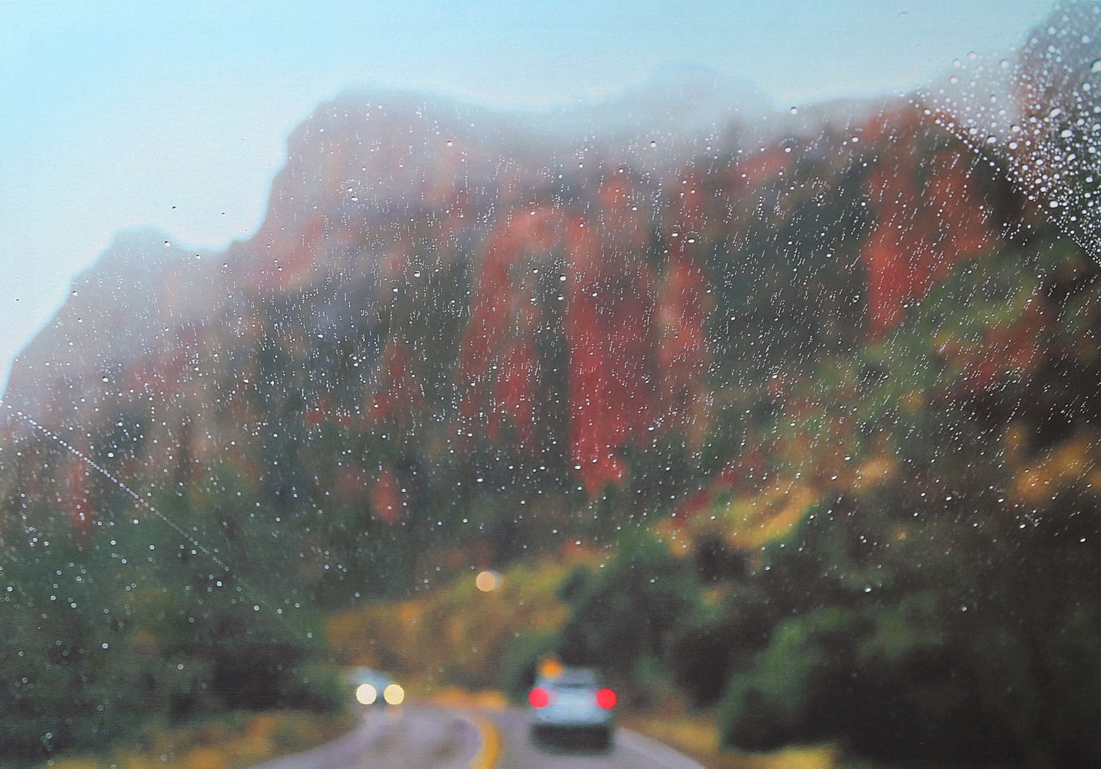 Windshield
