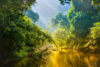 River in the Amazon rainforest