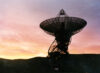 Radio dish at sunset