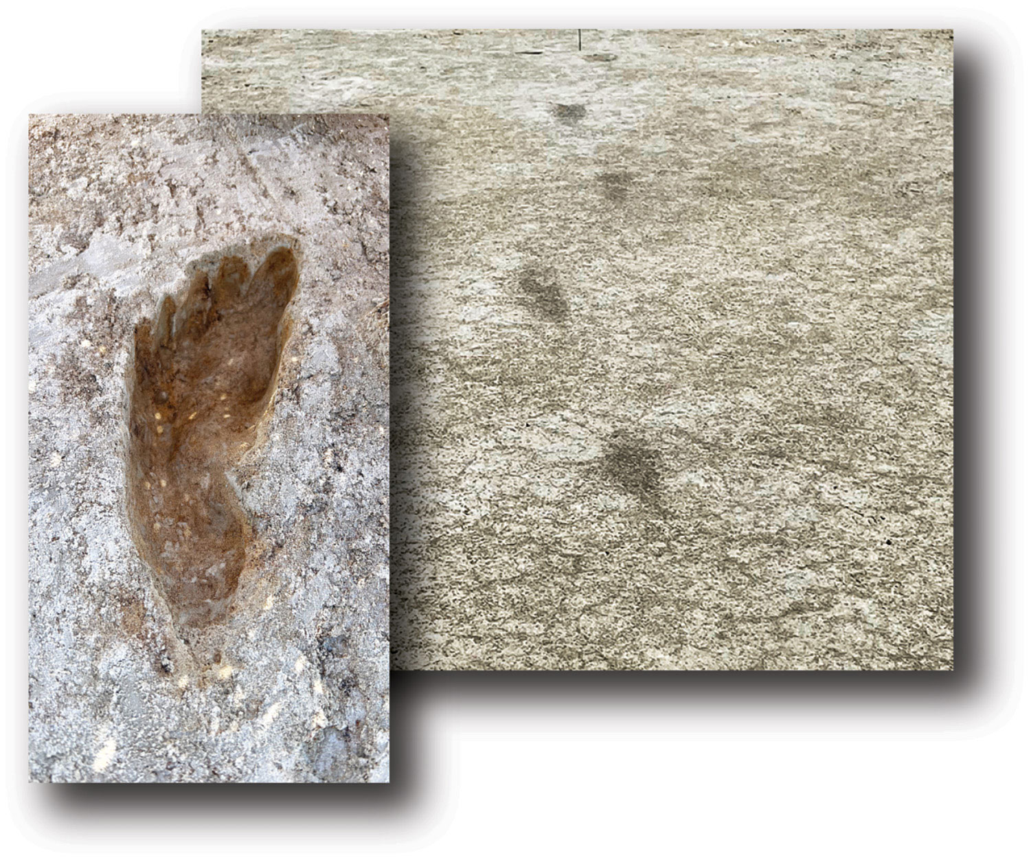 Footprint collage