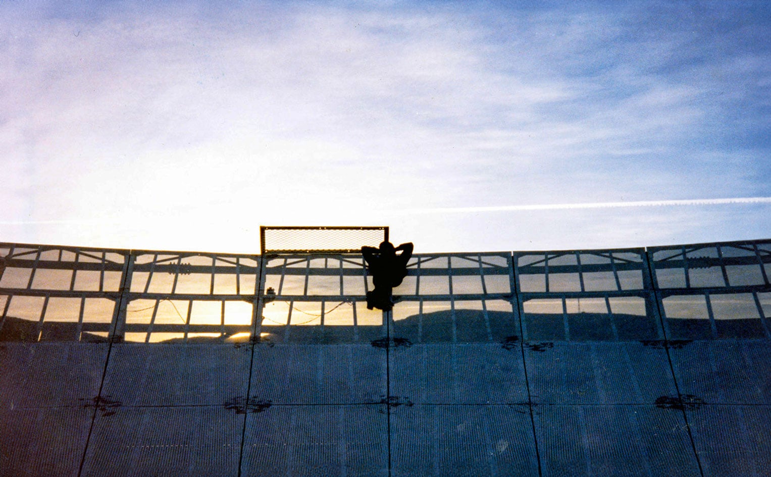 Relaxing on the dish