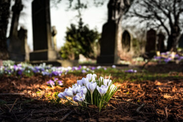 Flowers among headstones