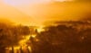 Jungle sunrise