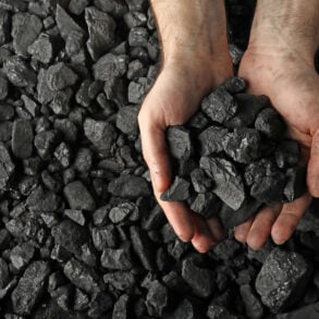Hands holding coal