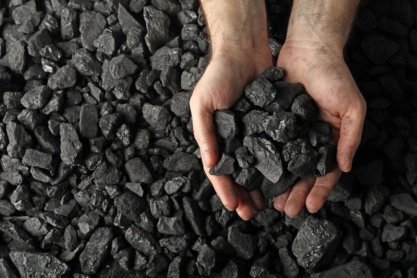 Hands holding coal