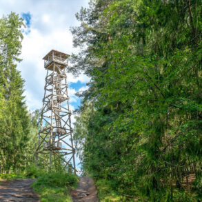 Lookout tower in forest