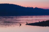 Sequim Bay, Washington, with herons