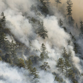 Wildfire smoke among a forested mountainside