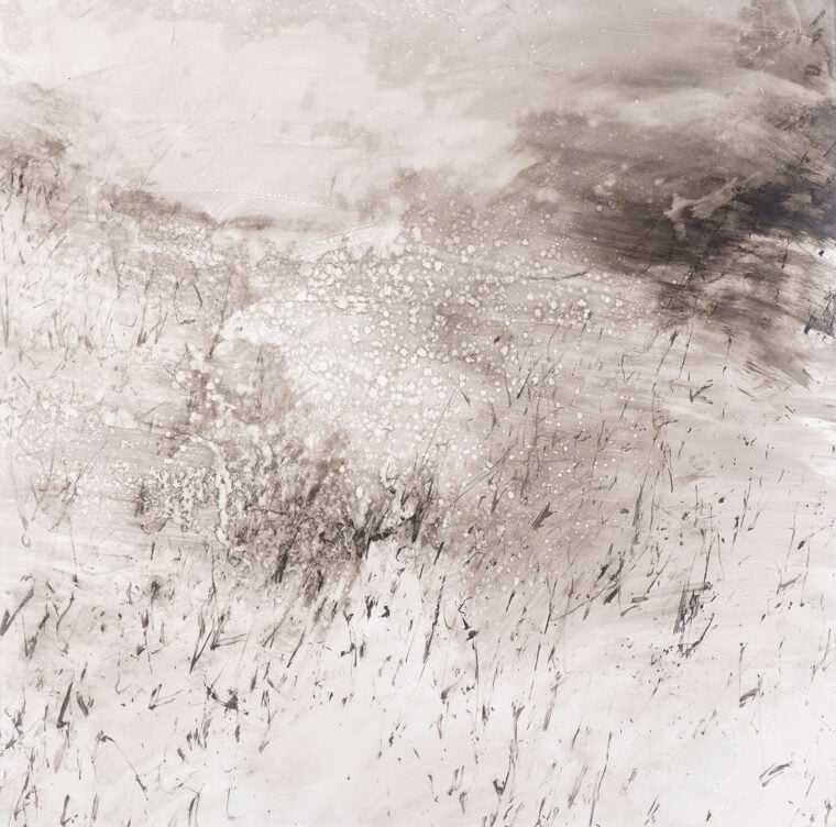 Across the River and into the Trees: Point Reyes, by Ellery Akers