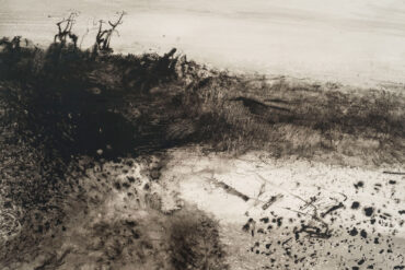 What the Marsh Knows, by Ellery Akers